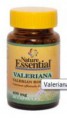 Valeriana